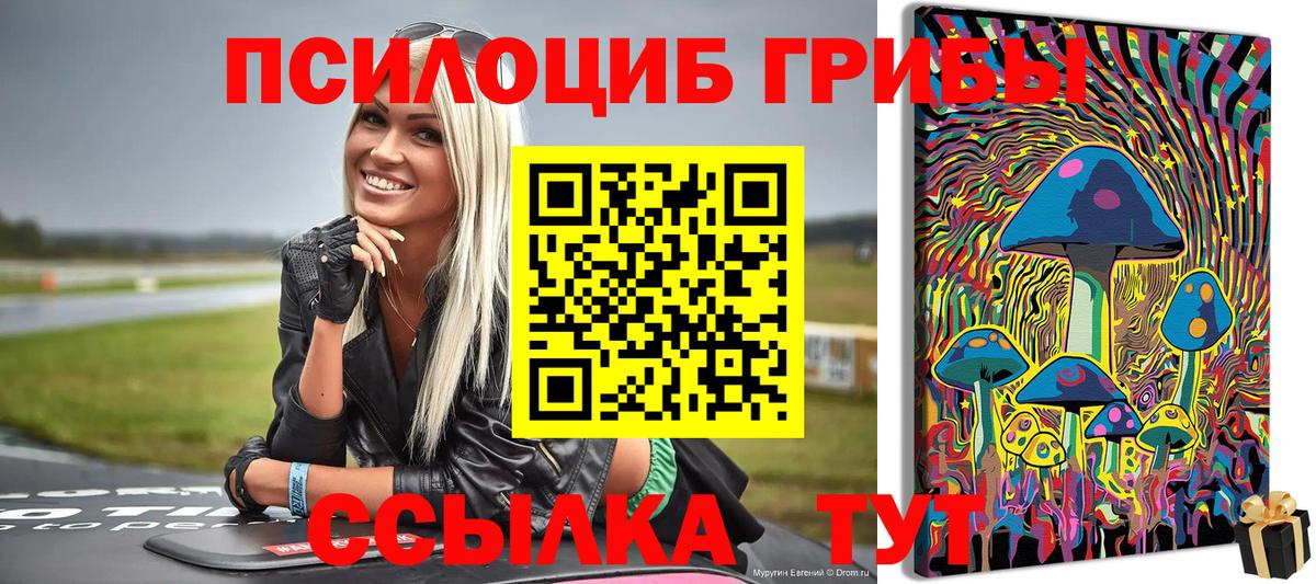 Кашира  Псилоцибиновые грибы Psilocybine cubensis  закладка  Вход с VPN 